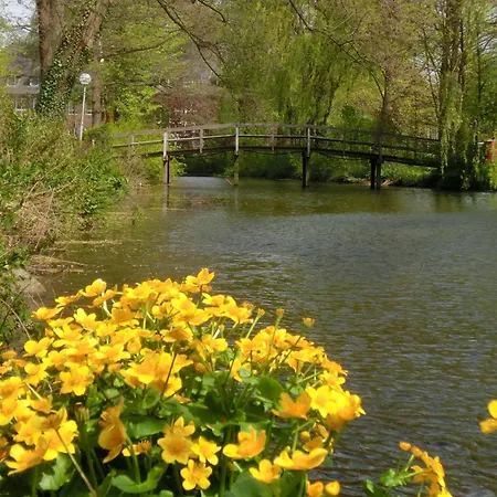 Zentrum * ブクステフーデ