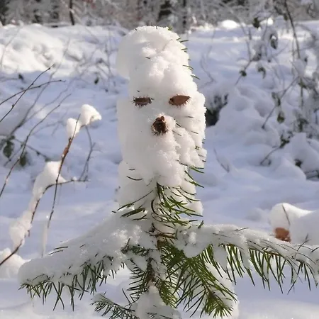 Zentrum * ブクステフーデ